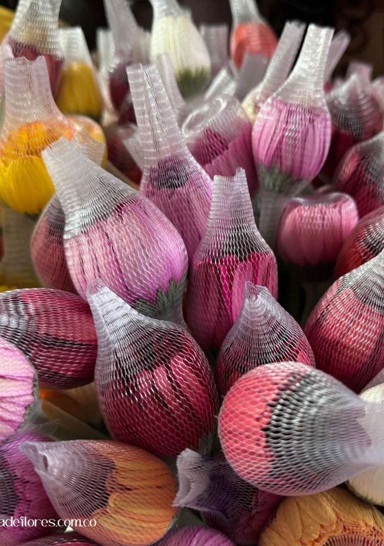 distribuidora de flores manizalez