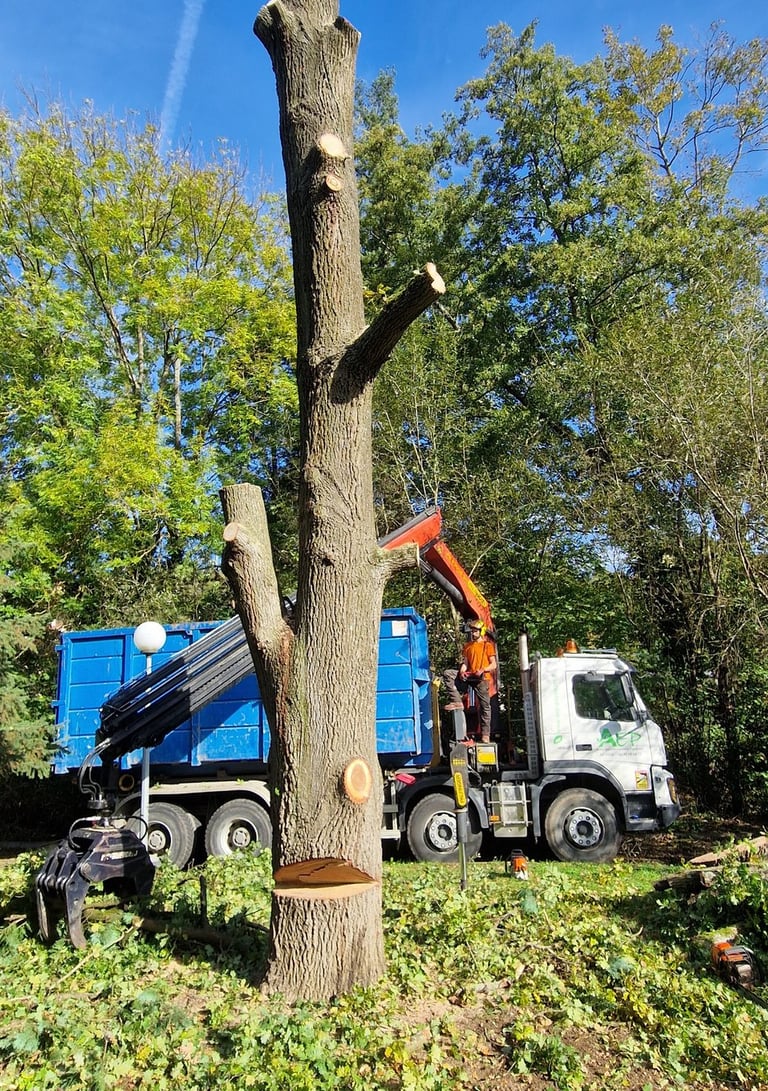 camion d'élagage en plein action de ramassage de branches