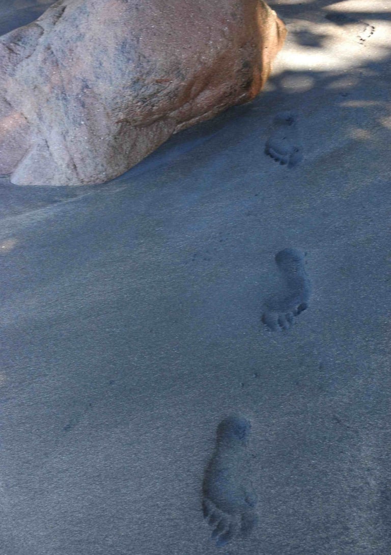 Footstep in the sand