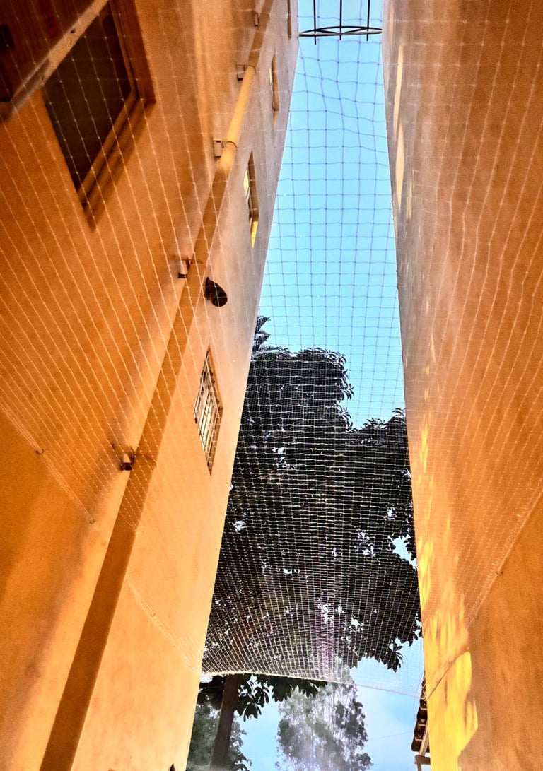 Close-up of a sturdy pigeon control net installed over an apartment duct in Haralur, Bengaluru.