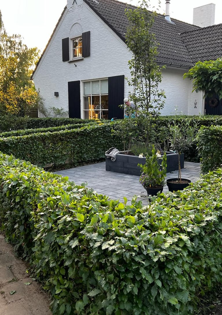 Voortuin in Roosendaal