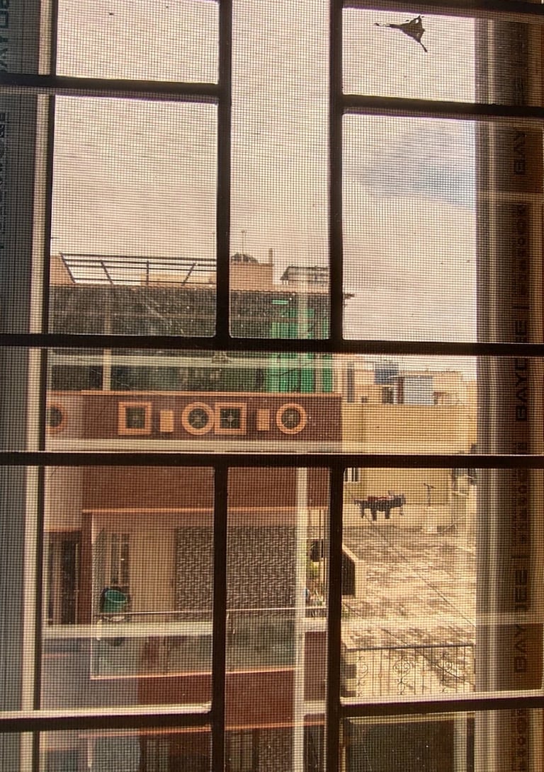 Close-up of a velcro mosquito net neatly installed on a wooden window frame in a Bangalore home.