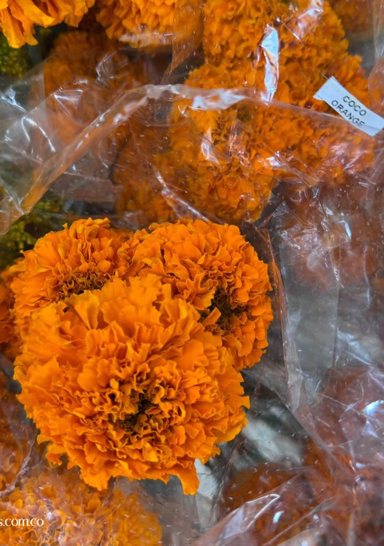 mayoristas de flores en el eje cafetero