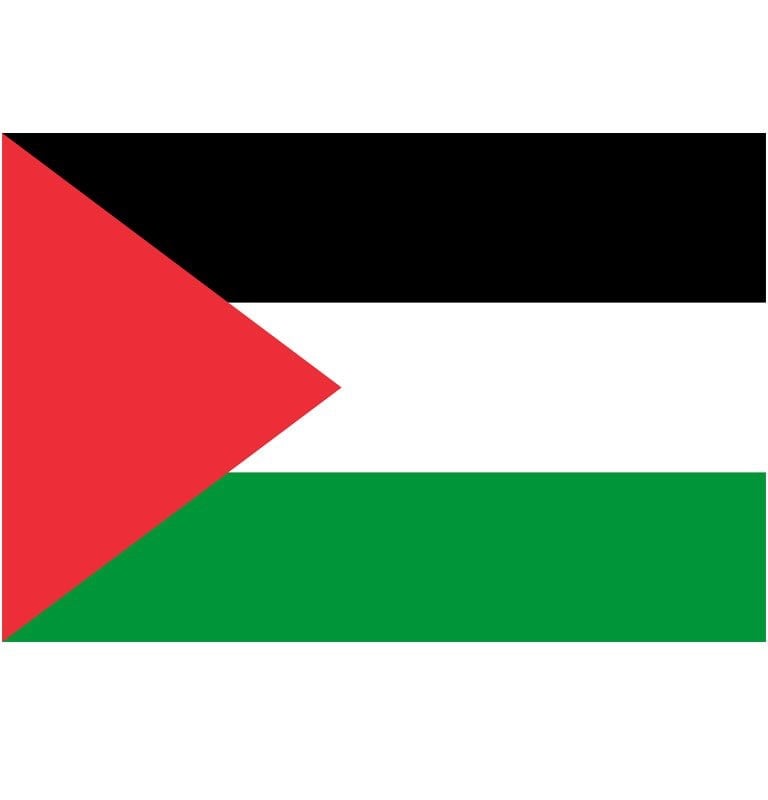 Palestine flag