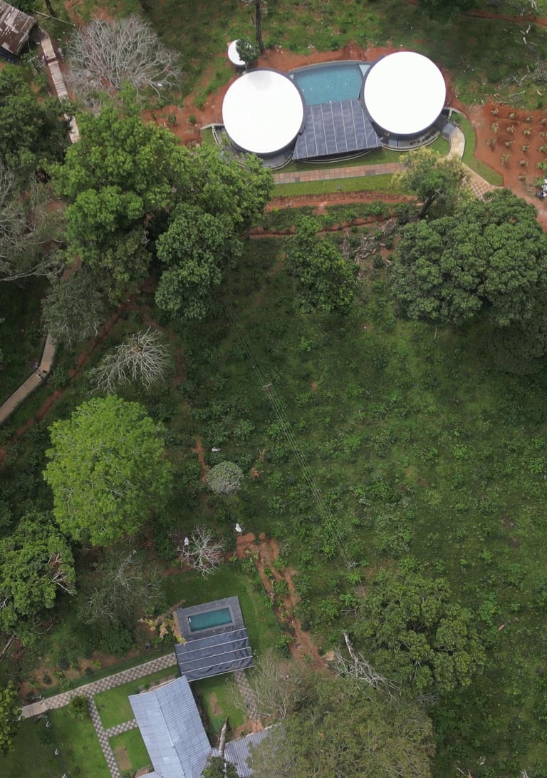 STAY IN NELLIYAMPATHY