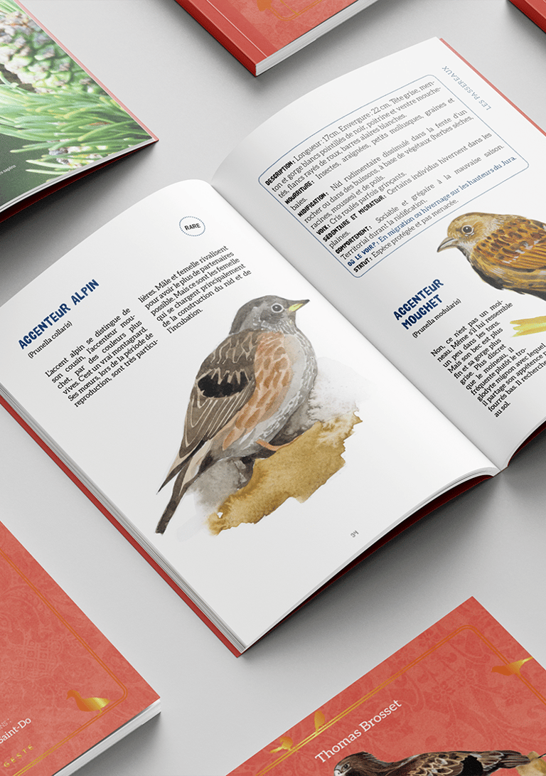Mise en page du livre Les oiseaux de Franche-Comté