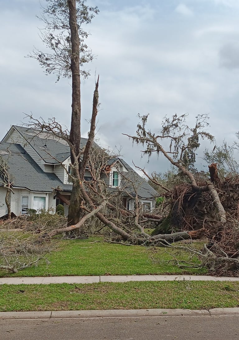 a man standing in front of a house with a tree that has fallen down