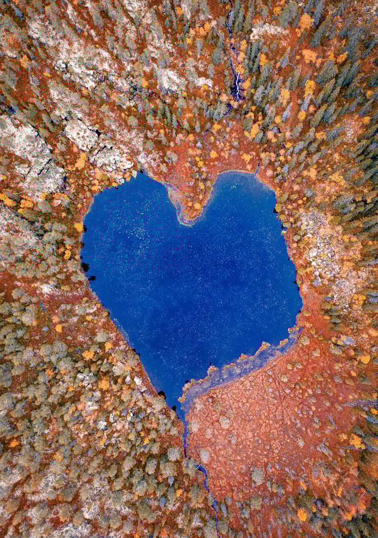 Aerial view of a heart-shaped blue lake surrounded by autumn forest with orange and green trees.