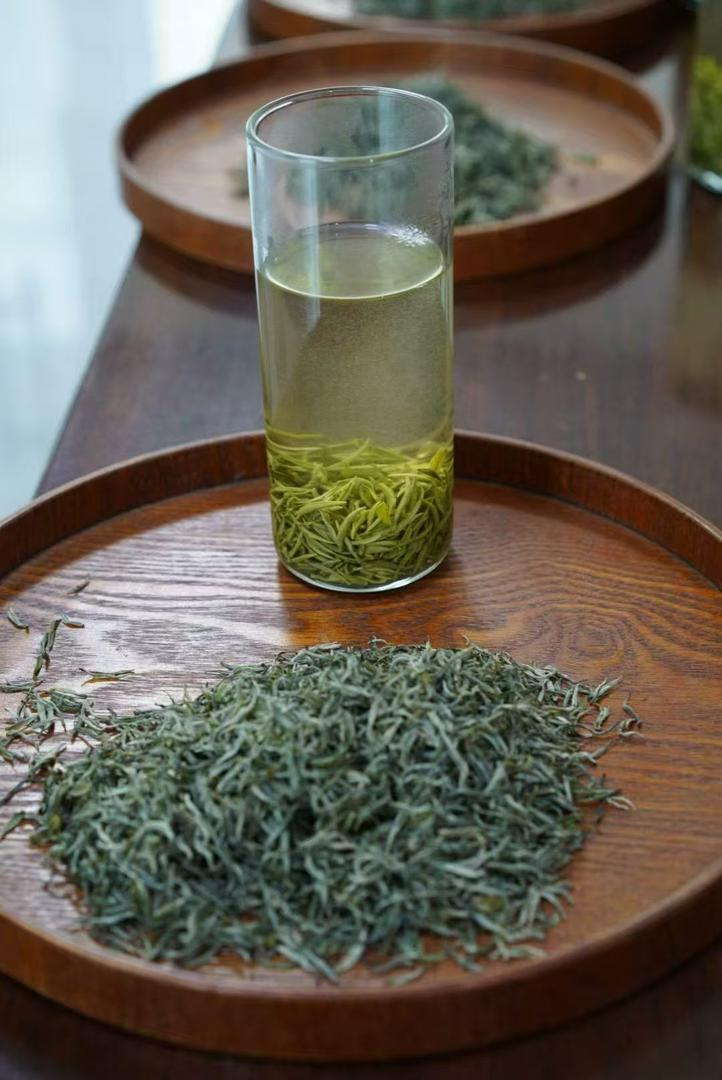 Xinyang Maojian green tea leaves