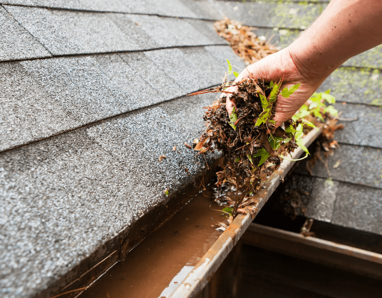 Gutter Cleaning Calderwood