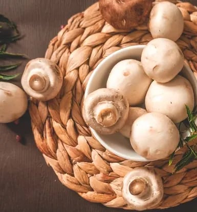 Mushroom powder, mushroom supplements, buy mushroom powder, organic mushroom powder, mushroom extract powder.