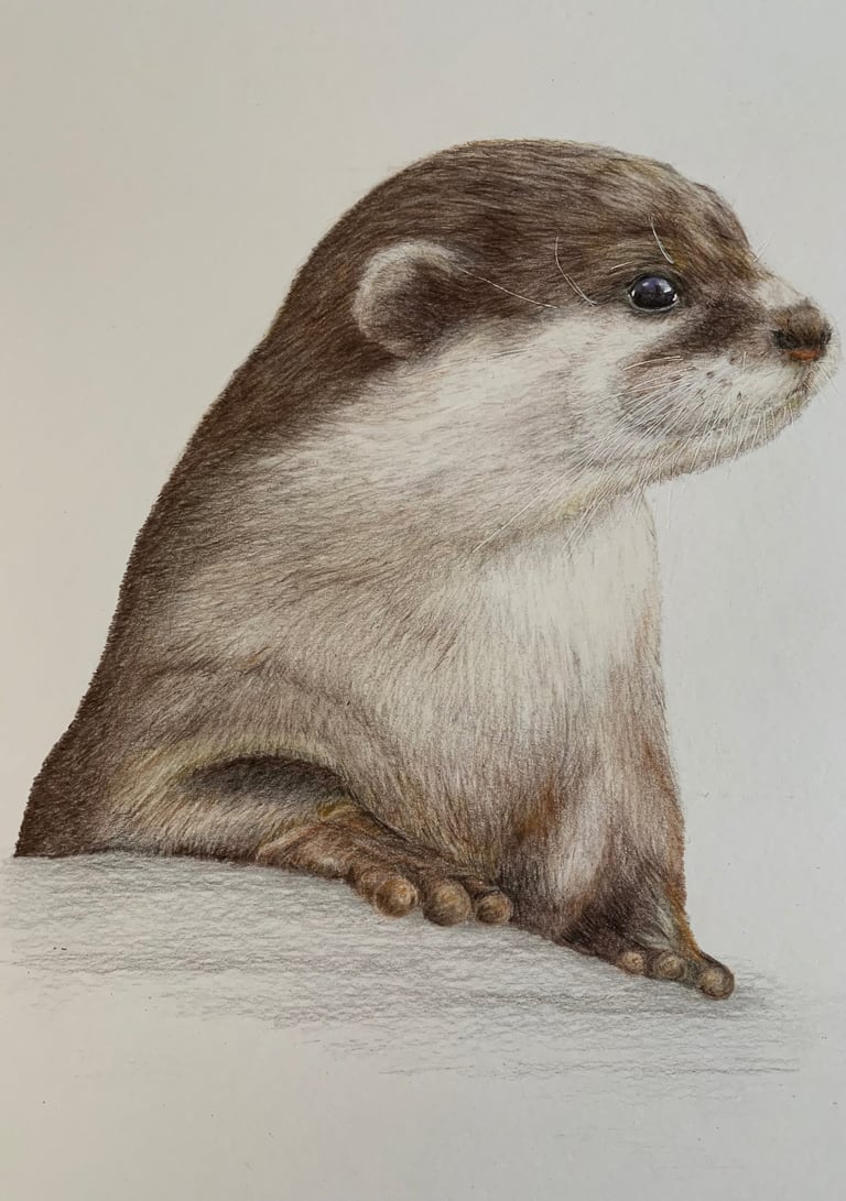 Otter