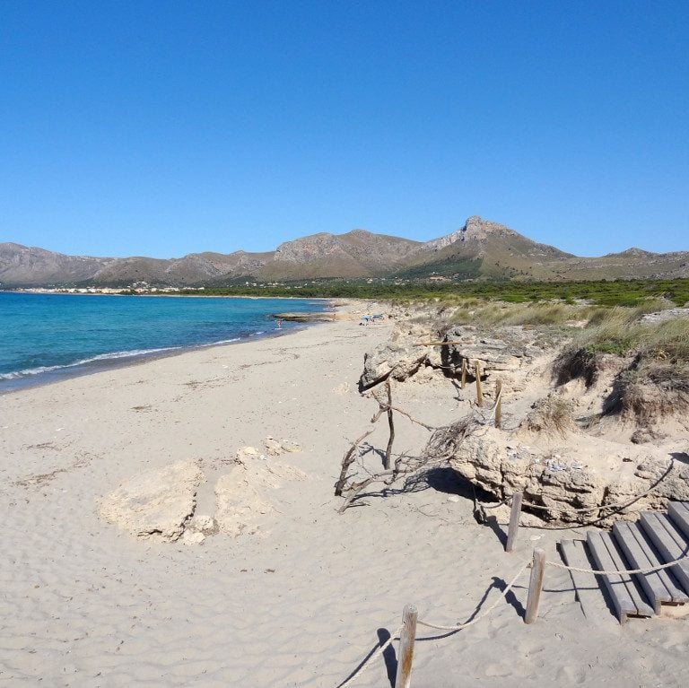 Son Serra de Marina Beach. A long, white-sand beach ideal for sailing.