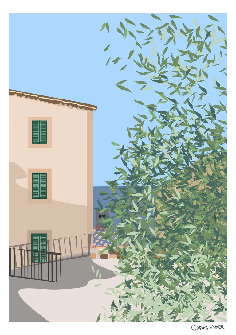 Banyalbufar Mallorca - olive tree in front of the sea 