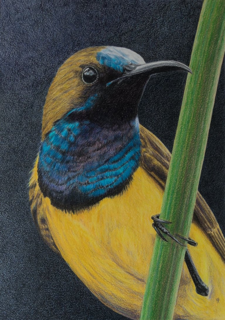 a bird sitting on a branch of a plant