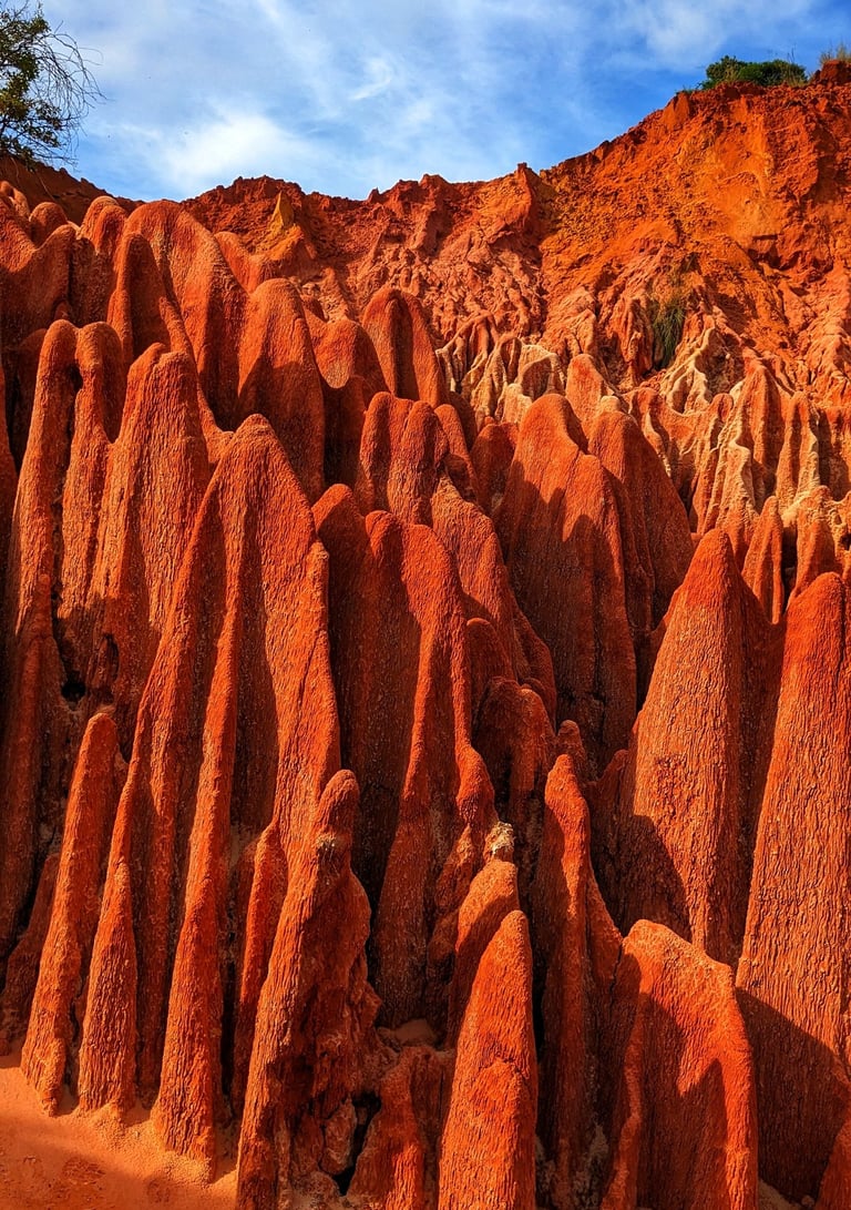 visite des Tsingys rouges pour croisiériste