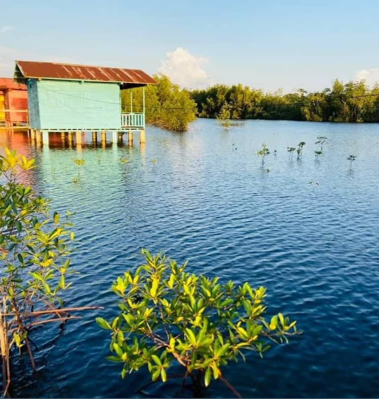 Imagine waking up to the gentle sound of water beneath your bungalow…