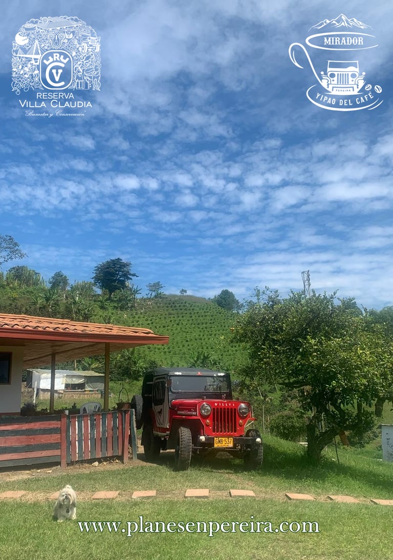 10 sitios para conocer en pereira