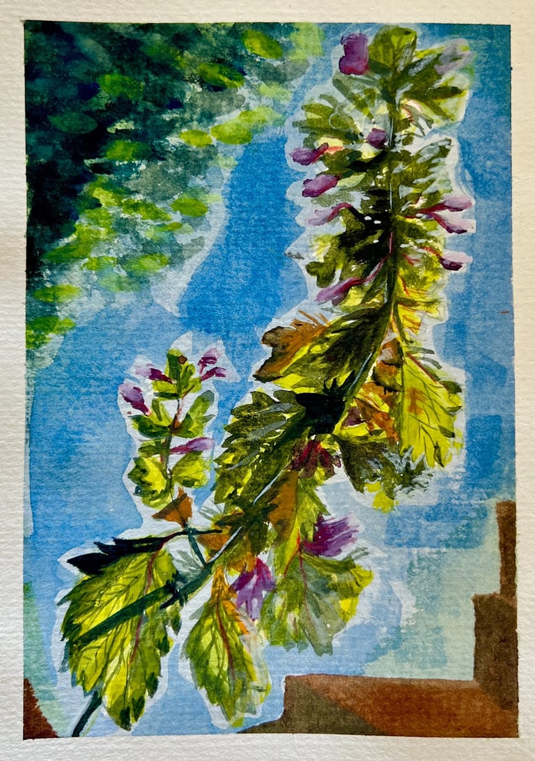 Watercolours and Colouring Pencils, A5