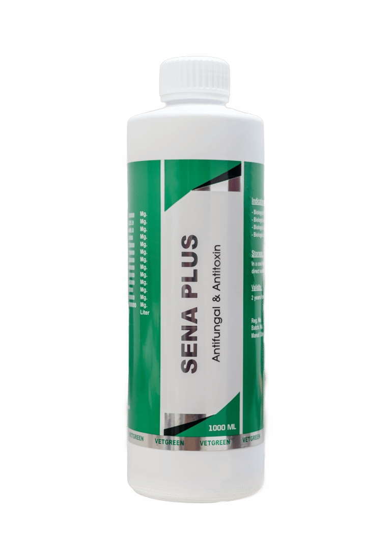 SENA PLUS