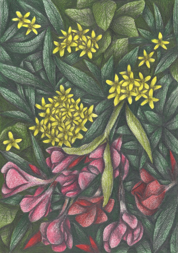 Flowers and Leaves bush hand-drawn botanical illustration