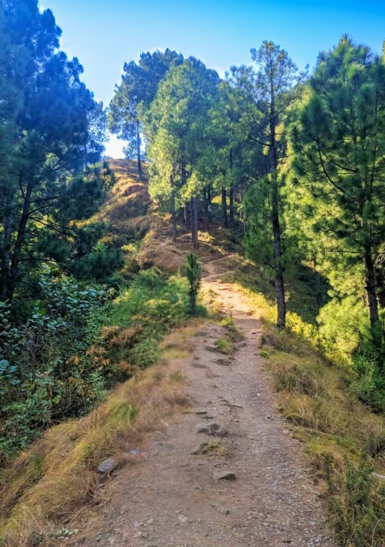Hilly trail leading to umbrella waterfall 
