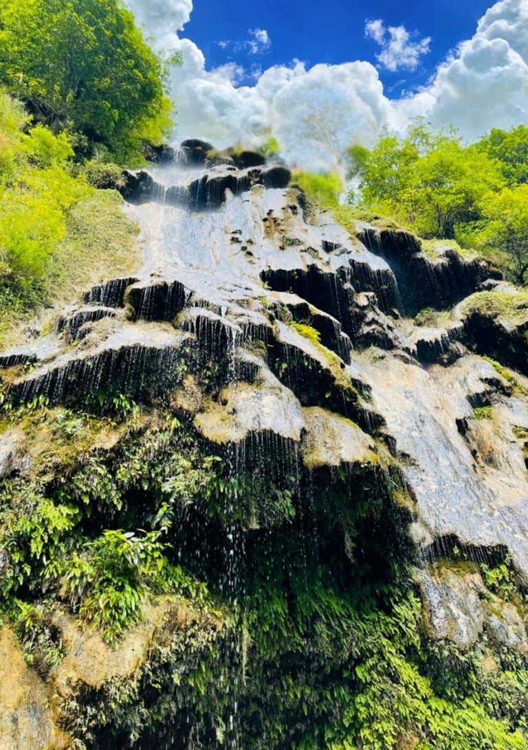 Umbrella waterfall in the middle of a lush green forest