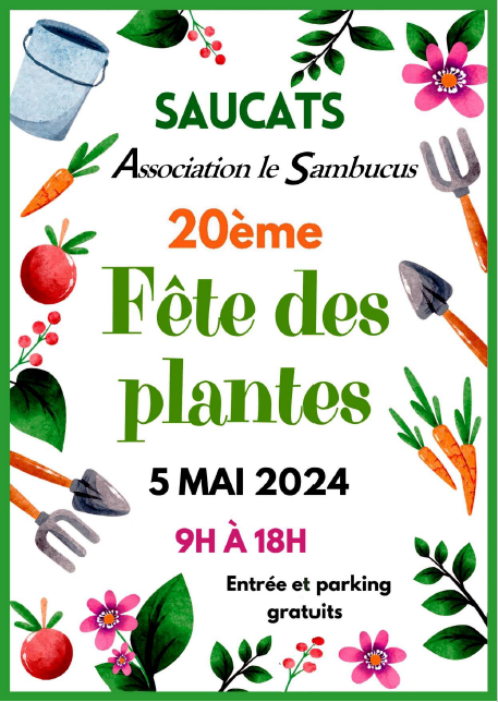 Fête des plantes Saucats