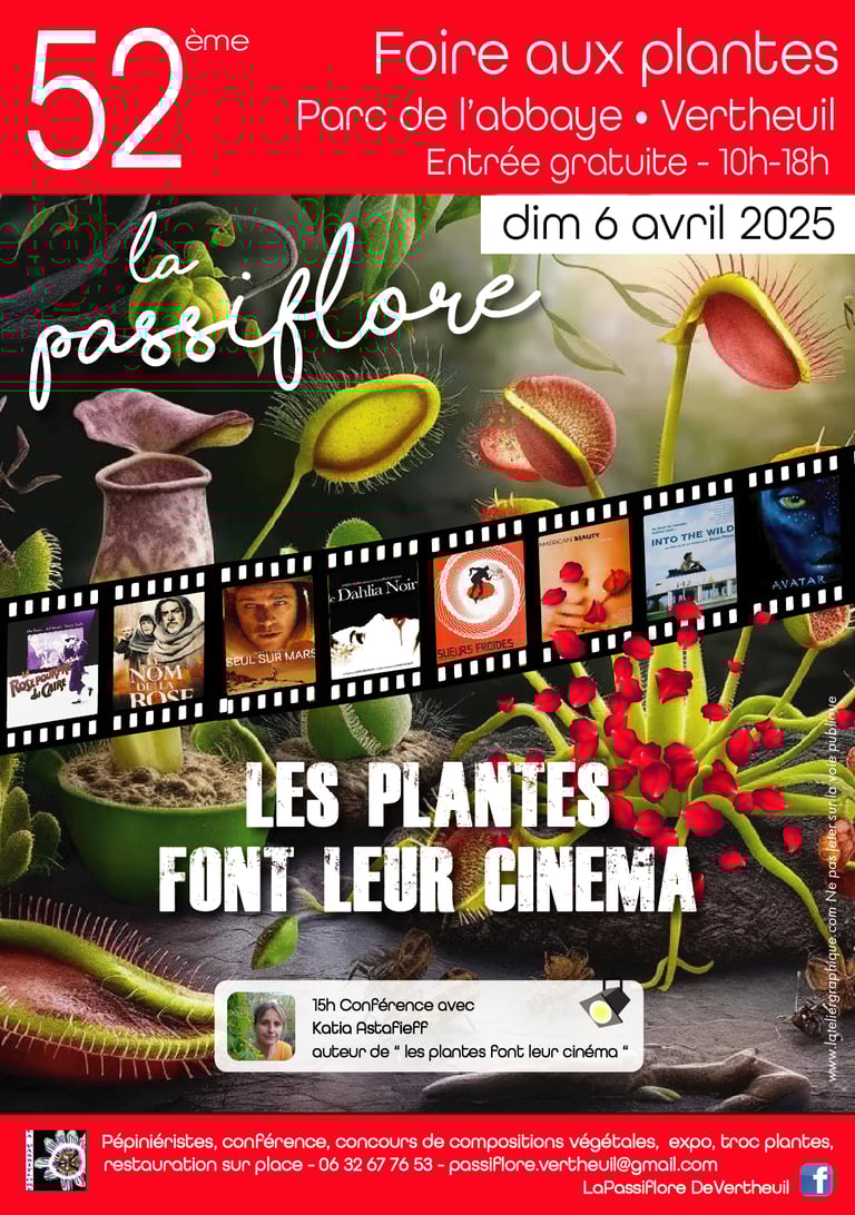 Passiflore - Vertheuil Médoc