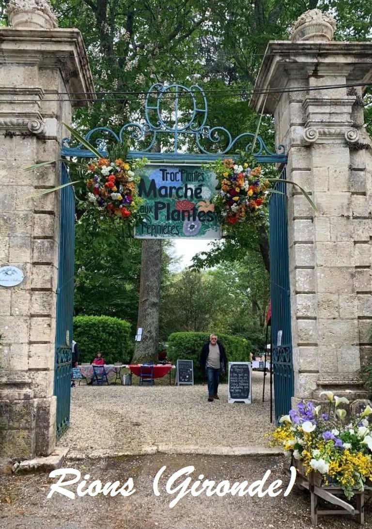 Marché aux plantes  - 1er mai 2025- Rions