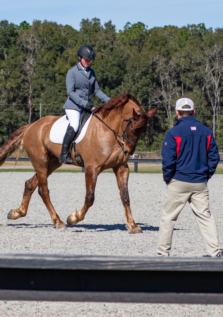 Equestrian rider in formal attire guiding a chestnut horse during a dressage training session, with 