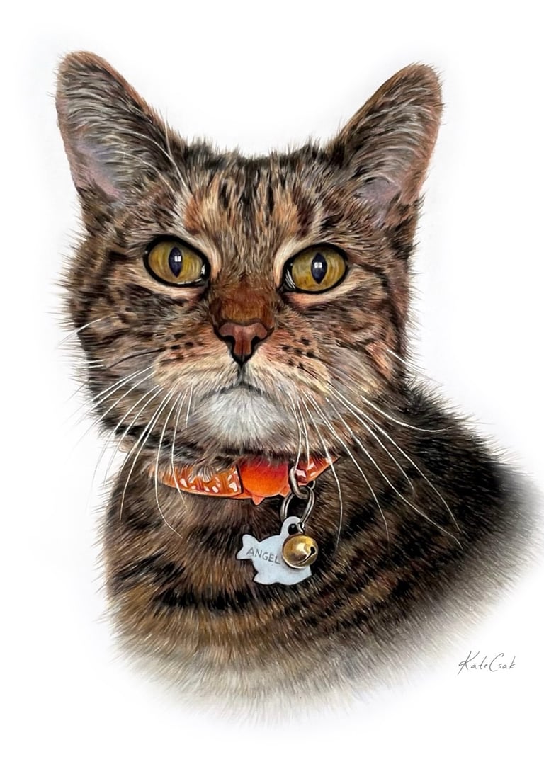 Detailed colored pencil pet portrait of a brown tabby cat named Angel with an orange collar.