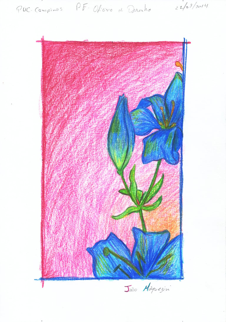 Estudo de desenho clássico na PUC Campinas, do Jaum, sobre flores nas cores azul, e fundo rosa