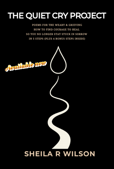 the quiet cry project phase 1 book available