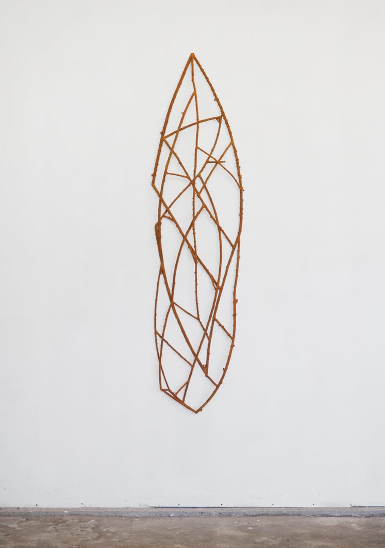 Roncier, 2022 ©Vincent Barré