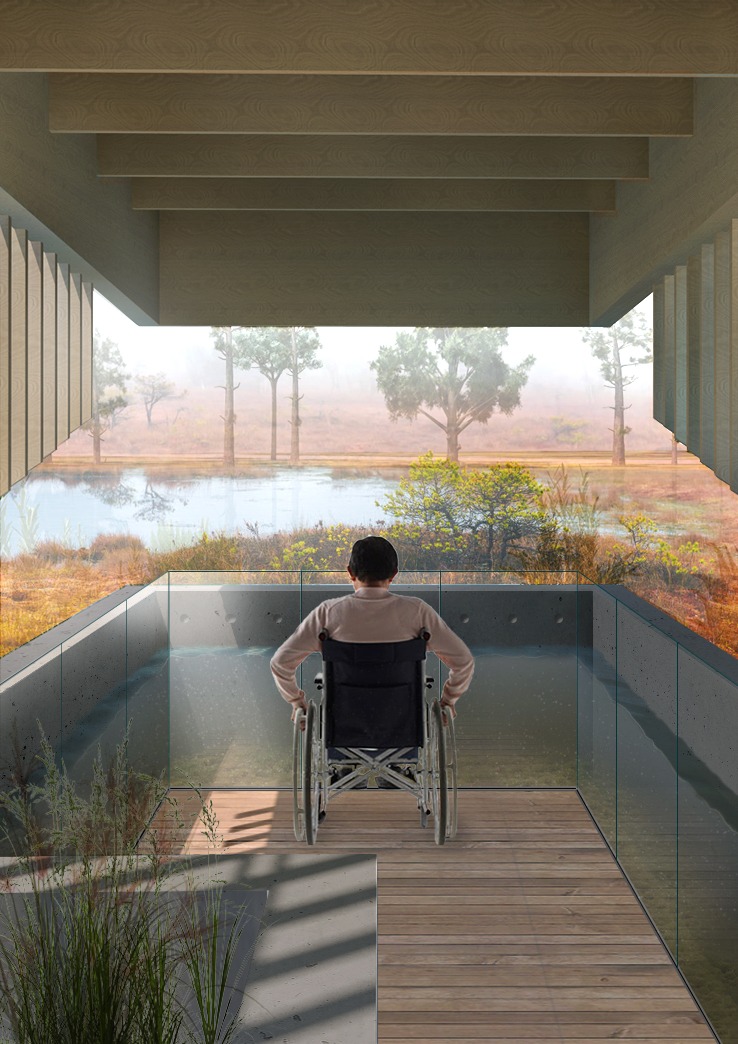 a rendering of a man in a wheelchair looking out over a bog