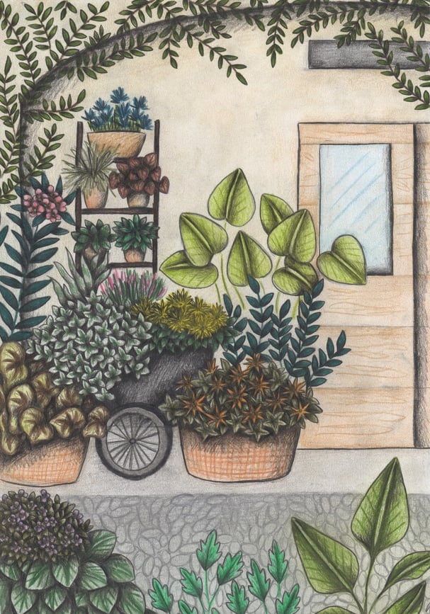 Hand-drawn illustration of a patio full of potted plants