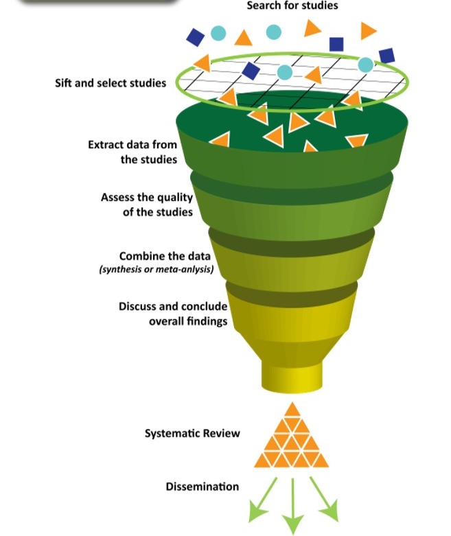 Systematic Review Steps