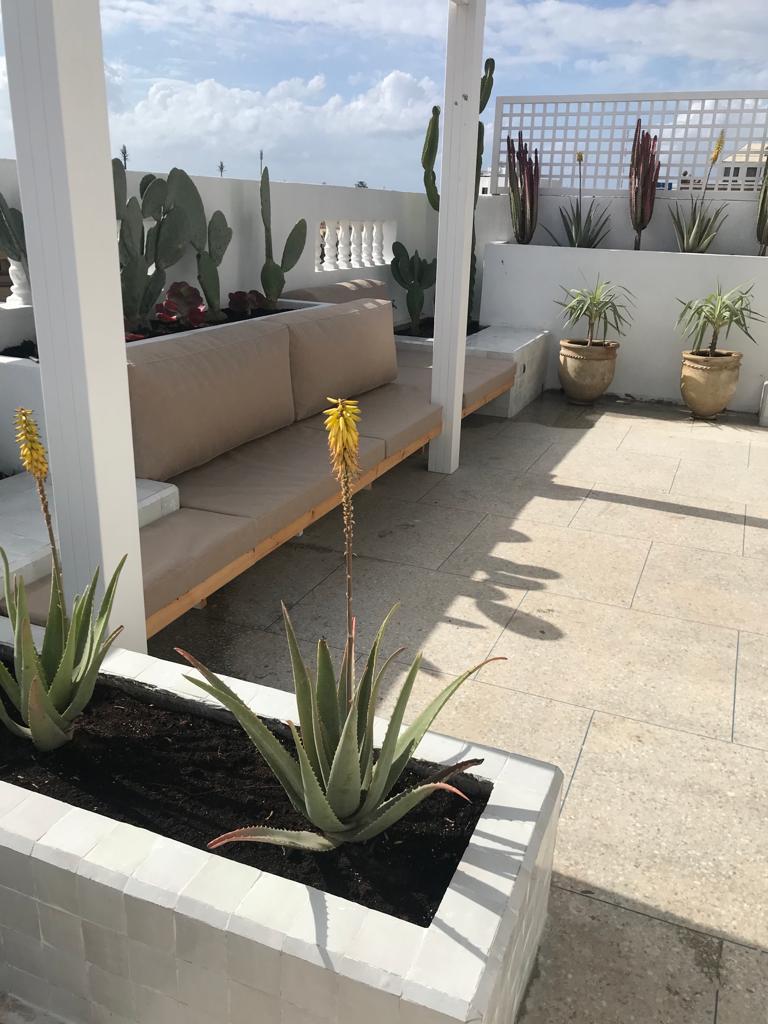 Architecte rénovation villa interieur exterieur Essaouira Maroc