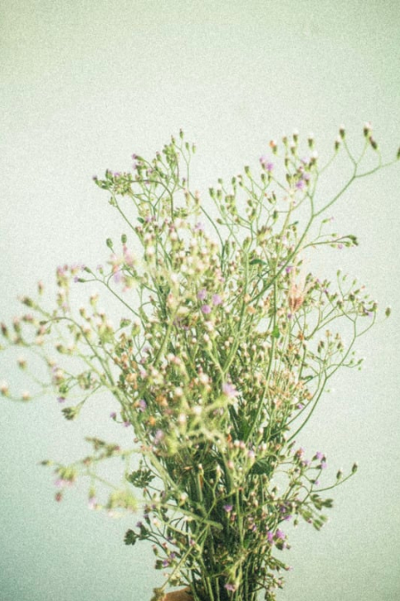 A delicate bouquet of tiny purple and white wildflowers in a rustic arrangement.