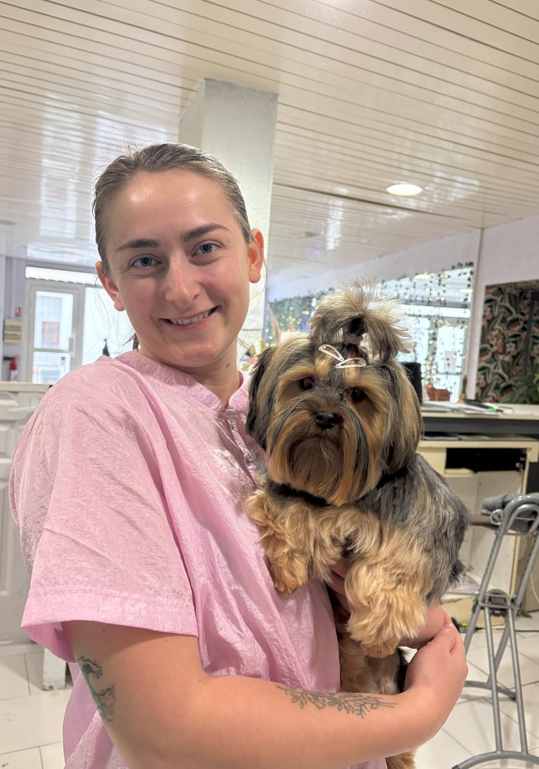 toiletteuse canin yorkshire terrier