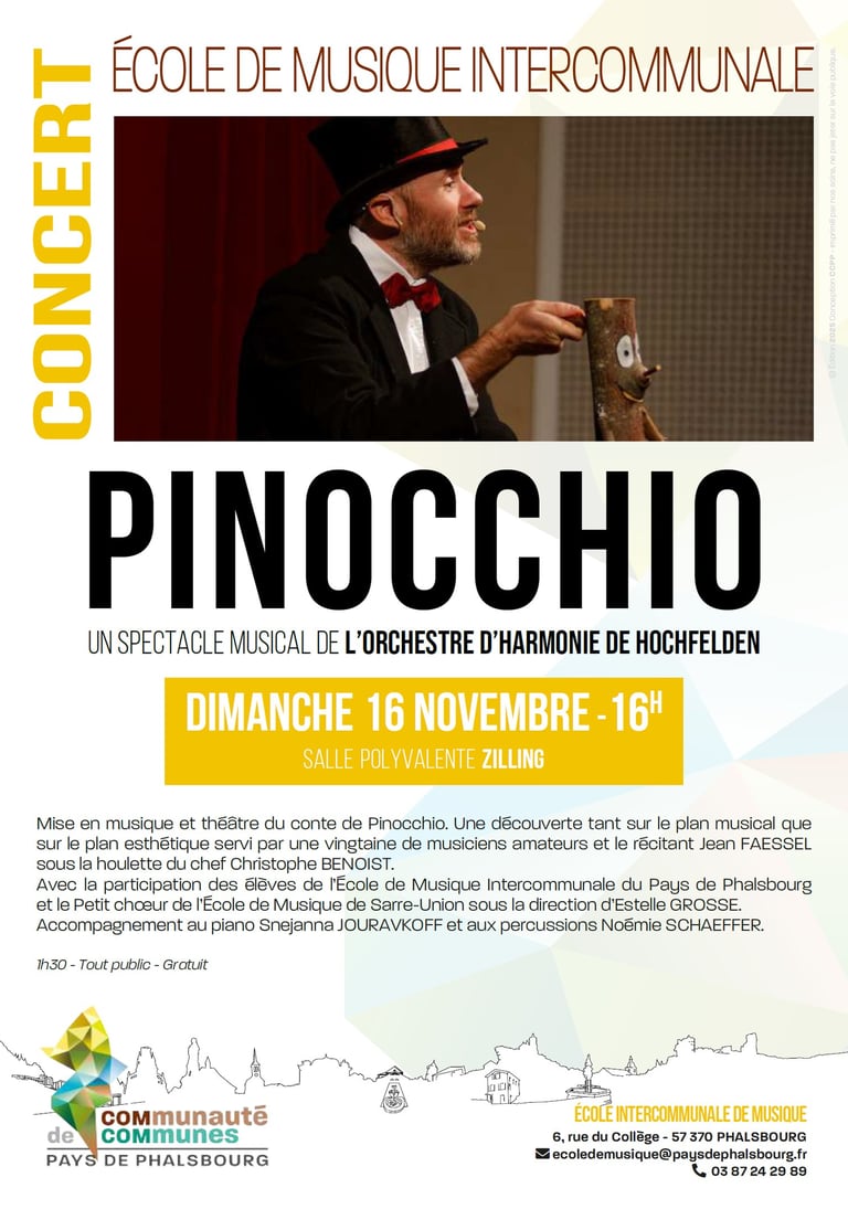Affiche concert Pinocchio