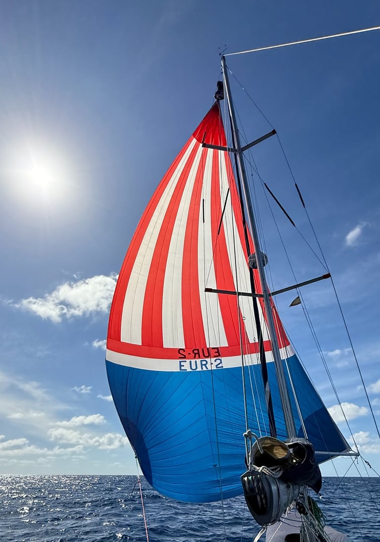 Unter Spi der Sonne entgegen