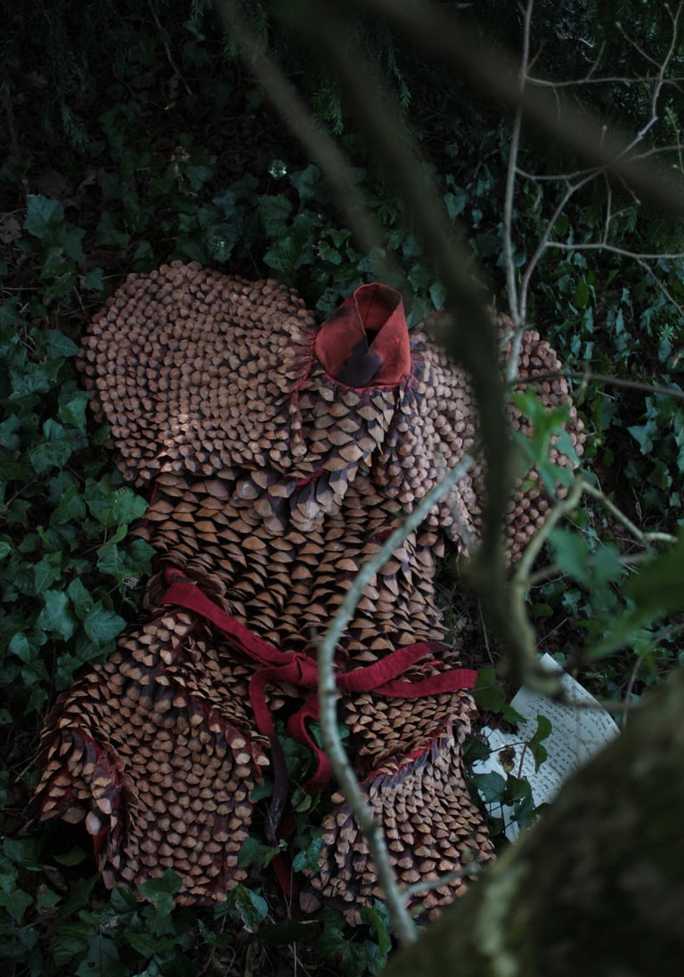 armure au sol et broderies d'écailles de pomme de pin