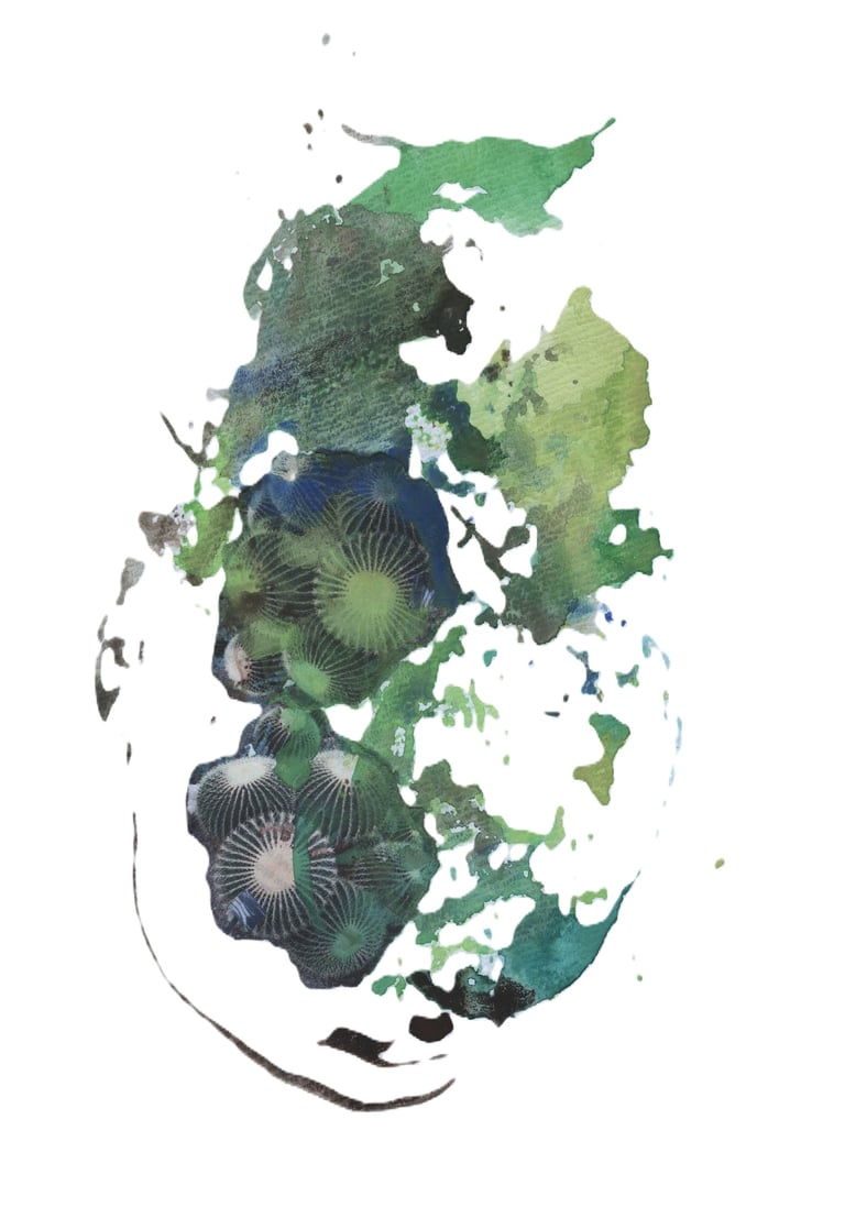 Inspired by nature’s palettes, exploring fluidity and balance in the Sogetsu Ikebana art