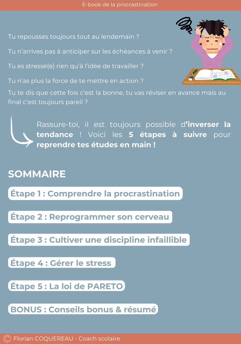 Sommaire de l'ebook gratuit pour vaincre la procrastination