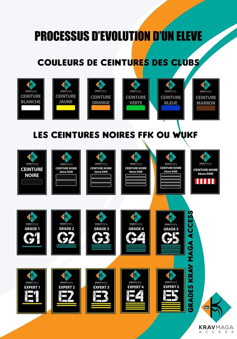 grades et ceinture krav maga access