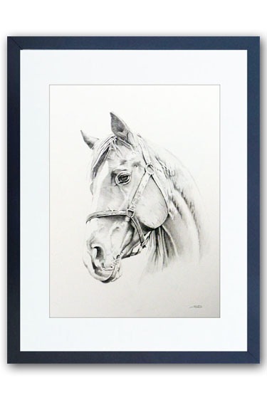 Commissioned horse Portrait hand drawn in pencil