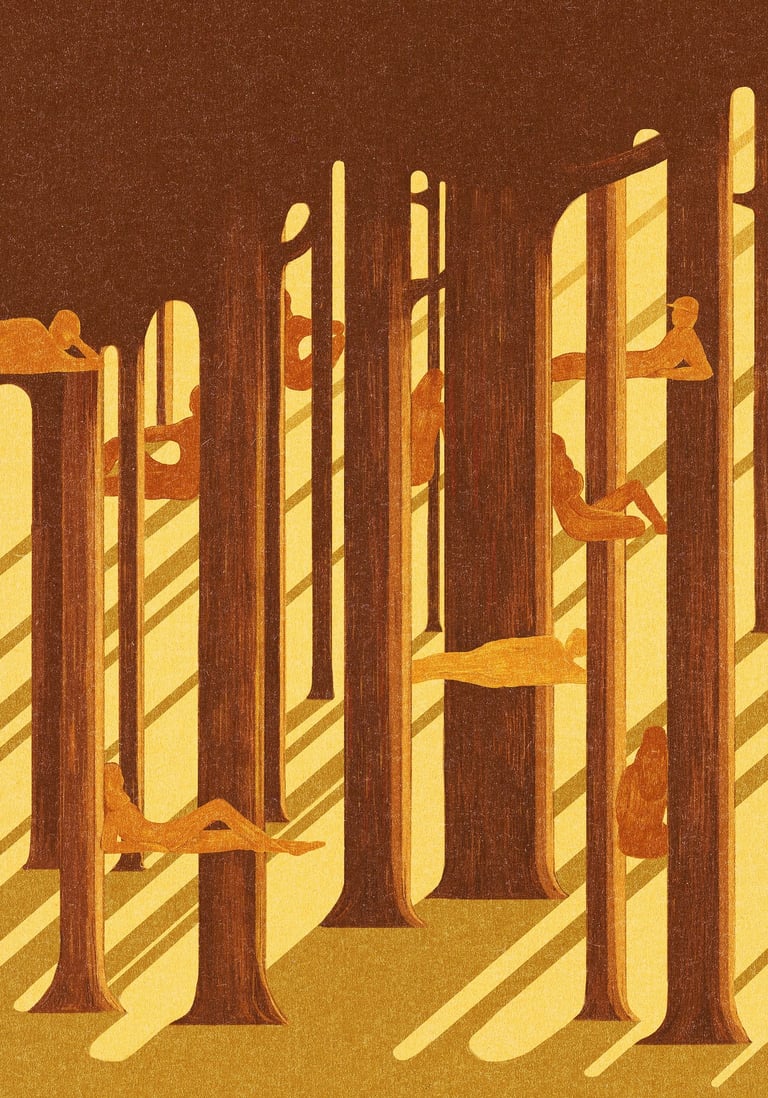 Tilto namų radijo festivalis identity