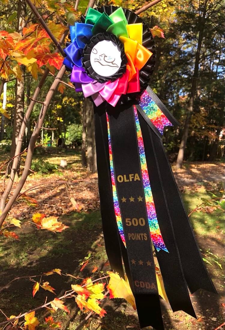 Rosette Fleur, un ''must'', pour un effet d'éclat!